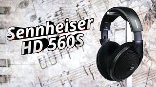 neutral, offen, bezahlbar... "spitz(e)" | Sennheiser HD 560S