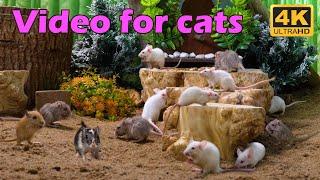 Cat TV: Hide & Seek with Mice in Wood Holes - Fun and Engaging Entertainment for Cats | Catflix