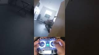 Micro FPV 1s Digital Walksnail #fpv #fpvdrone #drone #walksnail #caddxfpv@walksnail2645 @CADDXFPV