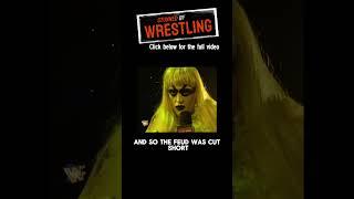 The Ultimate Warrior HATED Wrestling Goldust #wwe #wrestlinghistory #90swrestling