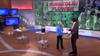 Dr. Oz  - Forskolin