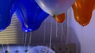 Qualatex 24 inch balloons in a room