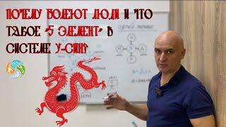 Почему болеют люди и что такое "5 элемент" в системе у-син?