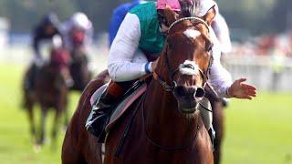 Frankel is flawless in 2012 Juddmonte International Stakes