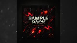 FREE Loop Kit : Sample Pack 2024   “Soul Sample 2' | TM88 , SECTION 8 , CHICHI , MACSHOOTER (8)