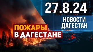 93 пожара за неделю в Дагестане. Новости Дагестана за 27.08.2024 год