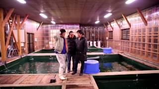 Koi360.com: Arrive at Yamamatsu Koi Farm