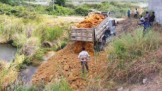 Launched The Show project using D-31A Bulldozer& Dozer MITSUBISHI to push soil into ponds and fields