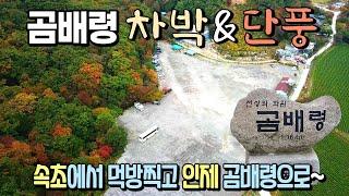 아바이마을 차박후 천상의 화원 곰배령으로 ~ 고고!! 밀알패밀리의 캠핑카여행기 / 속초차박 / 속초맛집 / 속초수산시장 / 곰배령 /가을 단풍/제우스 캠핑카/640fu/예스알브이