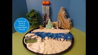 Safari Ltd. Arctic & Antarctica Toobs & Small World Diorama - Learn Animal Names