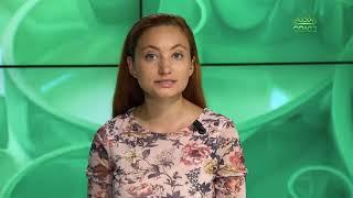 ЧЕТВЕРТЬ ЧАСА: СЩМЧ.СЕРАФИМ (ЗВЕЗДИНСКИЙ) И АРХИМАНДРИТ НИКОЛАЙ (ЧЕРНЫШОВ)