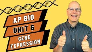 Crack the Code: Mastering Gene Expression in AP Bio Unit 6