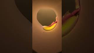 #Shorts ASMR Burning Paper | Say Satisfying 83