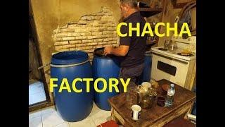 Paying a visit to Chacha factory in Tbilisi