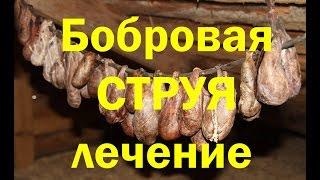 Бобровая струя. Приготовление настойки. Как правильно принимать. ПРОДАЕТСЯ!