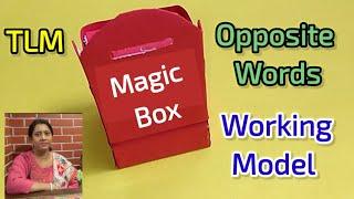 Opposite Words Working Model | Opposite Words TLM | English TLM | TLM