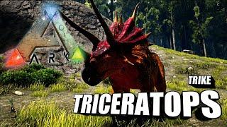 Taming A Triceratops (Trike) | Ark Survival Evolved | The Island