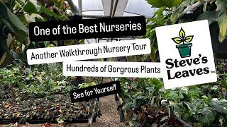 Steve's Leaves Another Indepth Plant Nursery Tour See Gorgeous Begonias and 100s of Plants