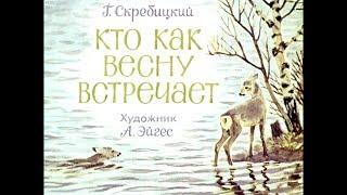 Диафильм Г.Скребицкий - Кто как весну встречает