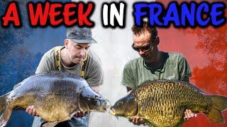  Summer CARP Fishing in France 2020 (Lac Baleine)