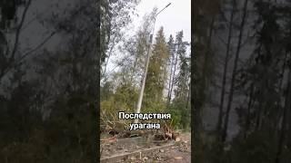 Осторожно - ненормативная лексика 18+ #ураган #стихия #городгерой #отличныйдень #немое #освещение