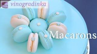 Mousse cake with vanilla macarons | Vinogradinka