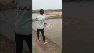 net ka bhitara man he#net #fishing #video