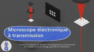 Animations sur les microscopes : Microscope électronique à transmission