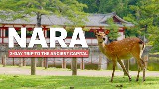 Essentials of NARA | 2-Day Trip | japan-guide.com