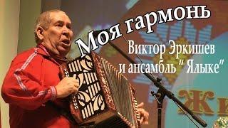 Моя гармонь.