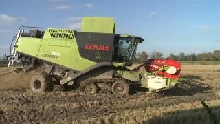 Claas Lexion 750TT in una veste particolare raccolta riso Novara 2024