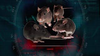 *WORLD RECORD* HITMAN: BLOOD MONEY HIDEOUT RAT% SPEEDRUN!!!!!!!!!!!!!!!!!!!! (0.01)