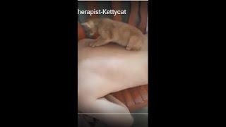 The Best Massage Therapist-Kettycat