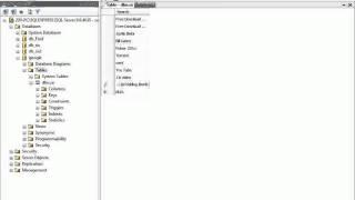 C Sharp Combo Box Like Google Search Box Using Sql Server 2005 .mp4