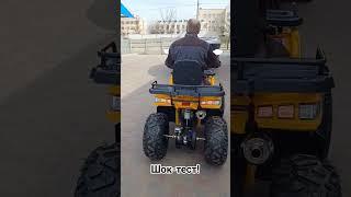 Квадроцикл Comman Scorpion 200cc шок-тест!