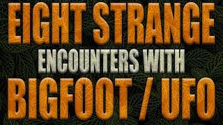 Eight True Bigfoot / UFO Stories