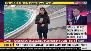 A murit Chen Chen, unul dintre cei mai iubiți delfini de la Delfinariul Constanța