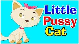 I Love Little Pussy Song - Nursery Rhyme I English Rhymes For Babies | Kids Songs | Poem For Kids