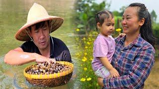 Digging up galangal roots to sell - Husband making delicious dishes - Farm life