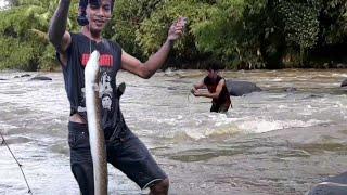 Mancing Sidat Di Sungai Arus Deras - Mancing Sidat Teknik Neger / Najur