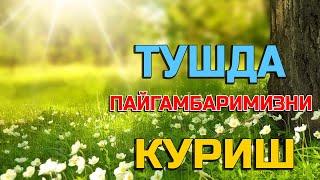 Туш табири - Тушда Пайгамбаримизни куриш