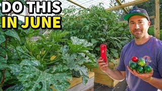 6 June Garden Tasks Every Gardener Must Do NOW!