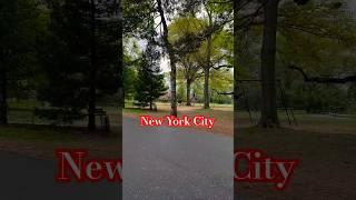 Exploring the Secret Nature Side of NYC – No Buildings, Just Beauty  #newyorkcity