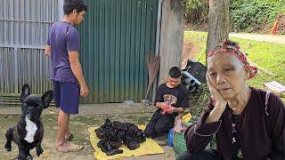 The Orphaned Boy - Going to pick Horsetail to sell, the old lady visited Thanh with many memories