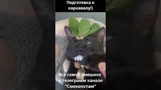 Подготовка к карнавалу!