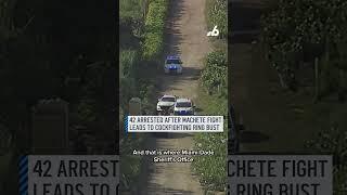 Report of machete fight led to cockfighting ring bust, 42 arrests in Florida
