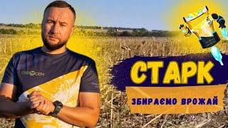 Євросем на збиранні соняшника Старк в ФГ "Деметра". Купити Старк 7+ Сумо 098 4400990