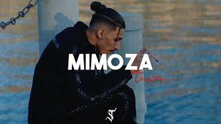 [FREE] Baby Gang type beat "Mimoza"