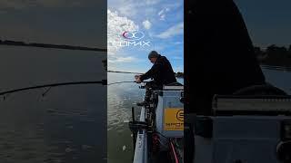 Sportex Catfire CS2 vertical Carême Philippe consultingfishing silure catfish HD