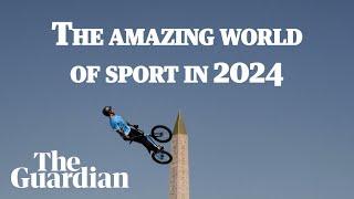 'What happened there?': the best of the amazing world of sport 2024